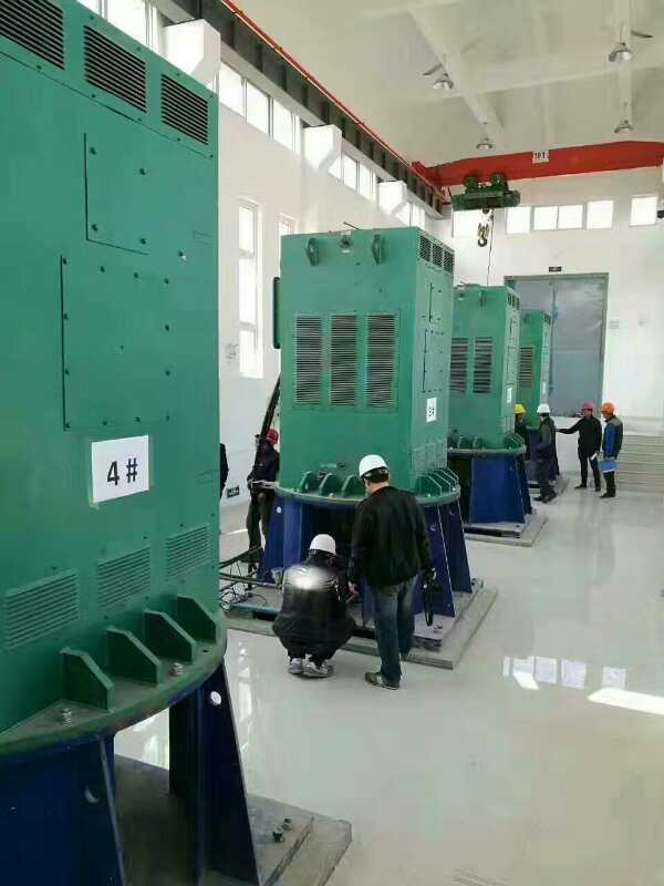 Y4502-2某污水处理厂使用我厂的立式高压电机安装现场