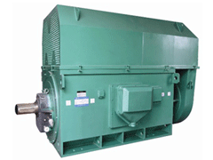 Y4502-2Y系列6KV高压电机